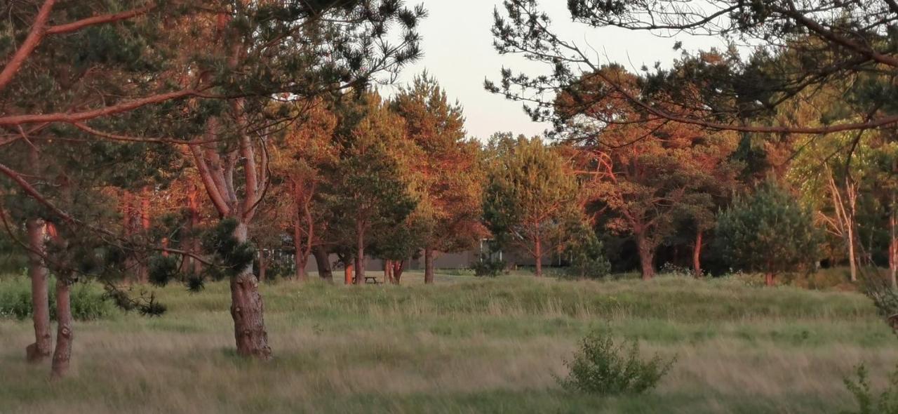 Campsite Girti Bernāti Exteriér fotografie